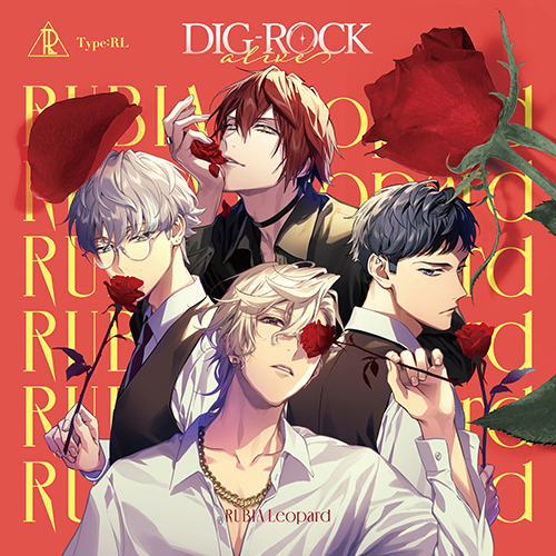 はじめてでも分かる DIG-ROCK（ディグロック）