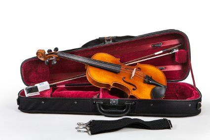 Eastman 80 Violin | VL80 Violin Outfit | TheInstrumentPlace.com