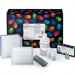 Pierce™ Microplate BCA Protein Assay Kit - Reducing Agent