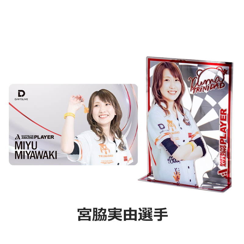 ダーツライブ DARTSLIVE PLAYER GOODS第四弾 プレーヤーグッズ4