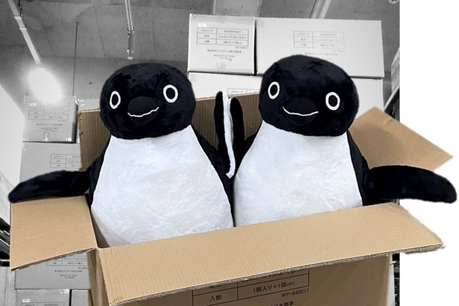 Suicaのペンギン 抱き枕 当選品 スイカ Suica の ペンギン 抱き枕 当選