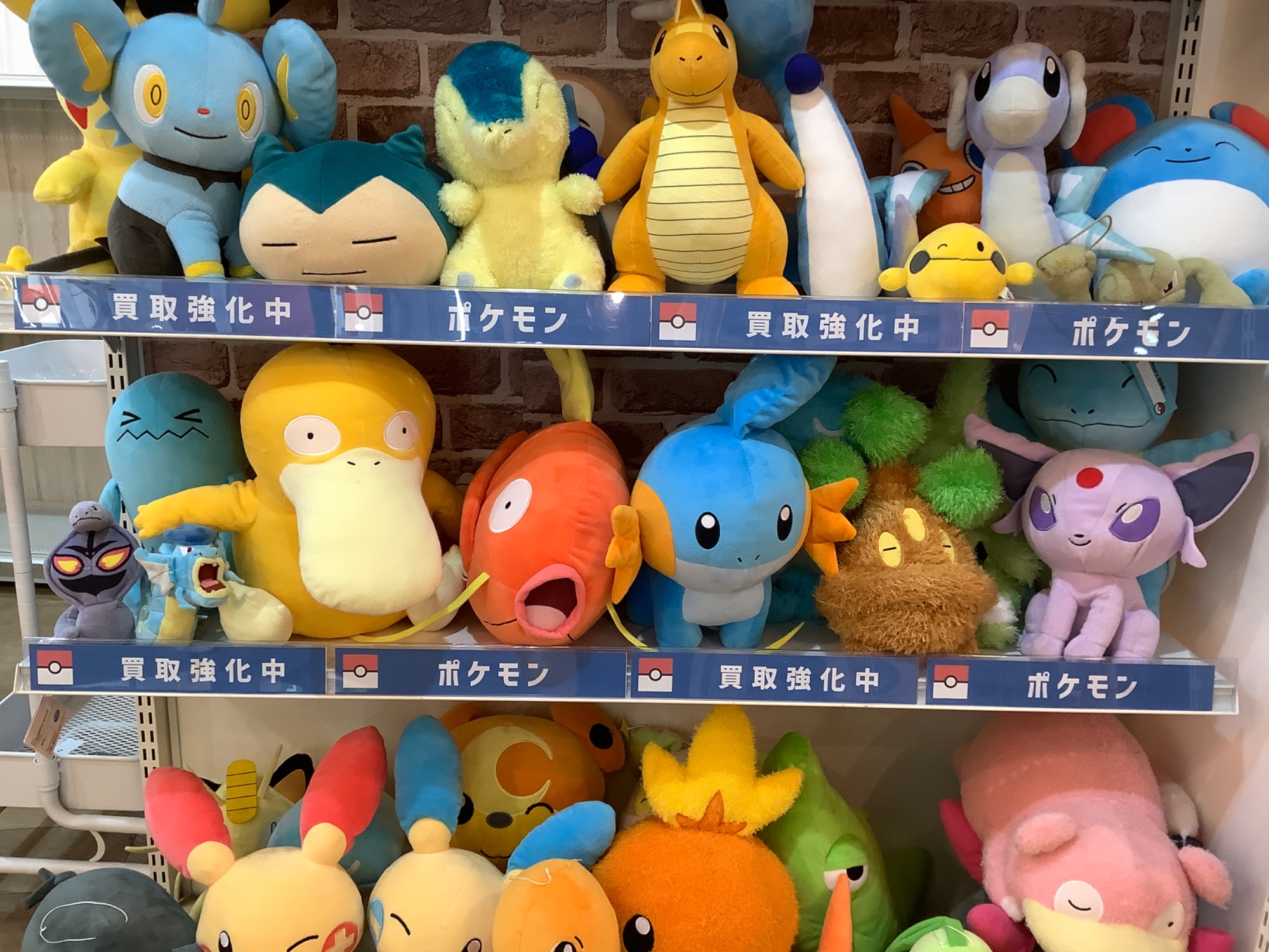 たくさんのポケモンのヌイグルミ販売中！ポケモン雑貨は買取強化して