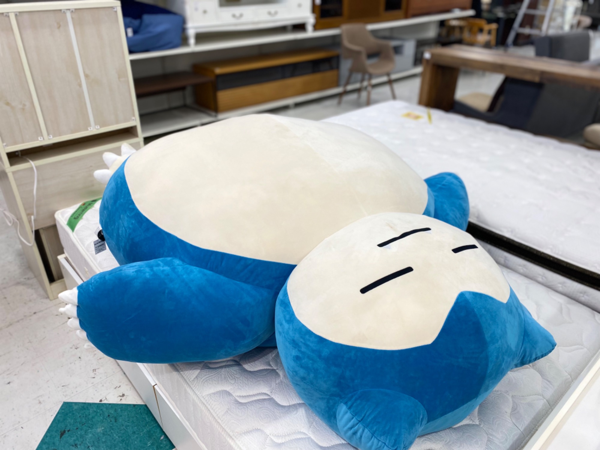 プレミアムバンダイ 絶対に起こしたいカビゴンクッション が買取入荷