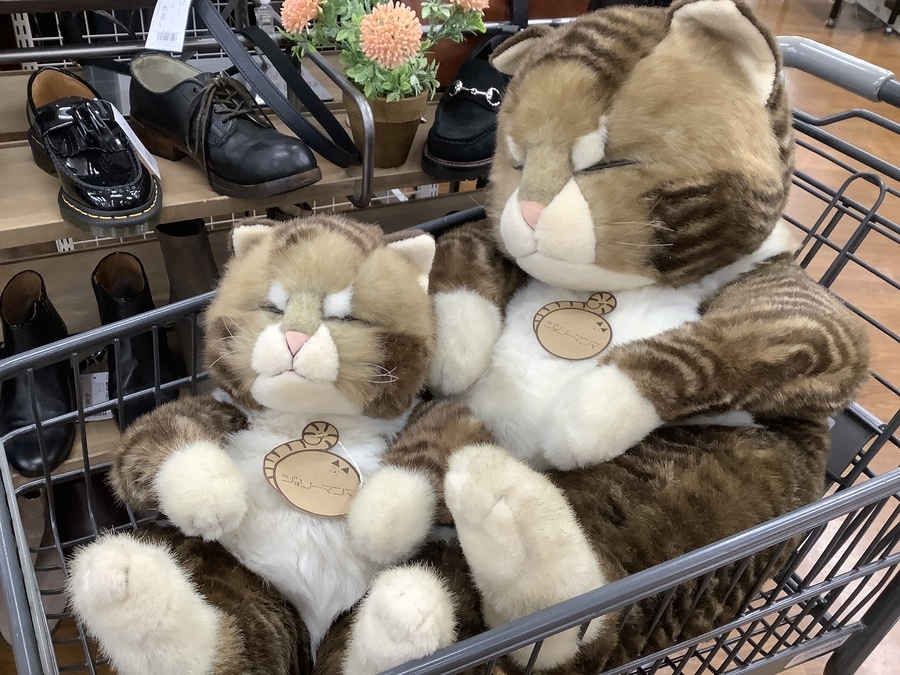 ジョリーマンマ 眠り猫 大きなぬいぐるみ レトロ ぬいぐるみ ジョリー