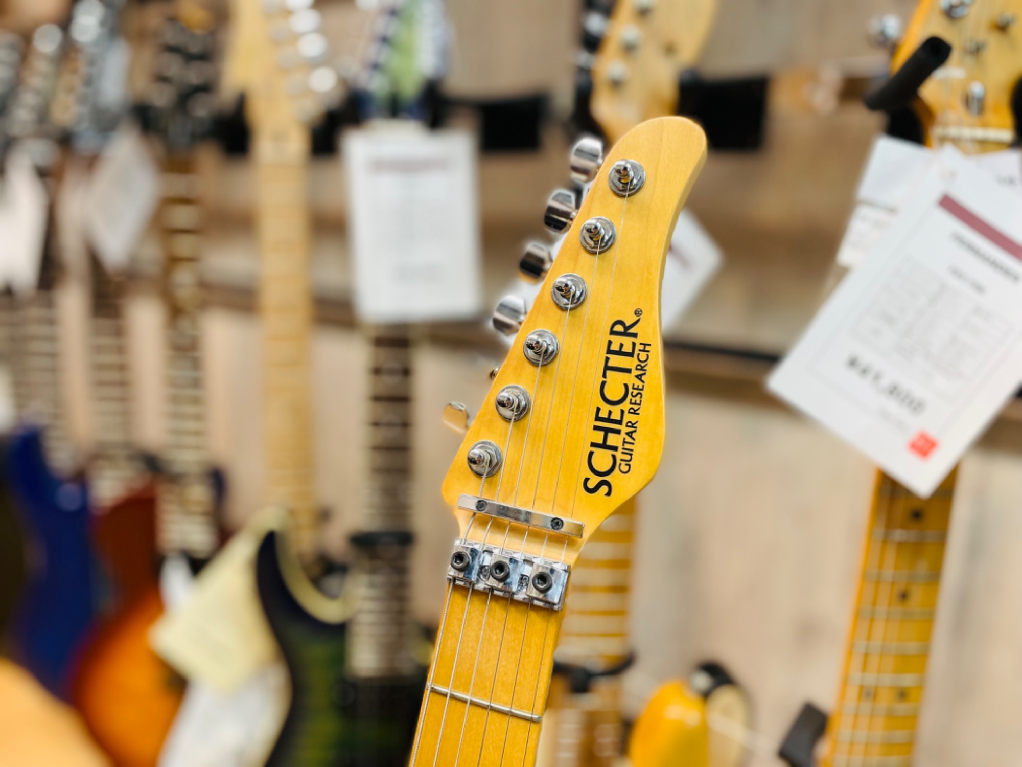 中古楽器大量展示中！】SCHECTER（シェクター）のエレキギターSD-2-24
