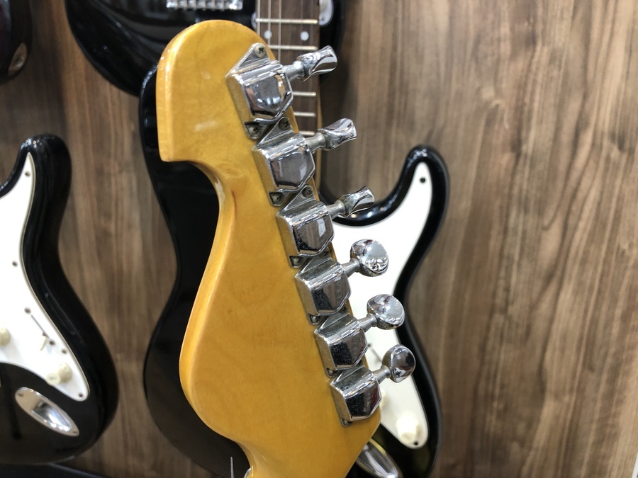 Hurricane by MORRIS stella エレキギター（ﾊﾘｹｰﾝﾊﾞｲﾓｰﾘｽ ｽﾃﾗ ）入荷