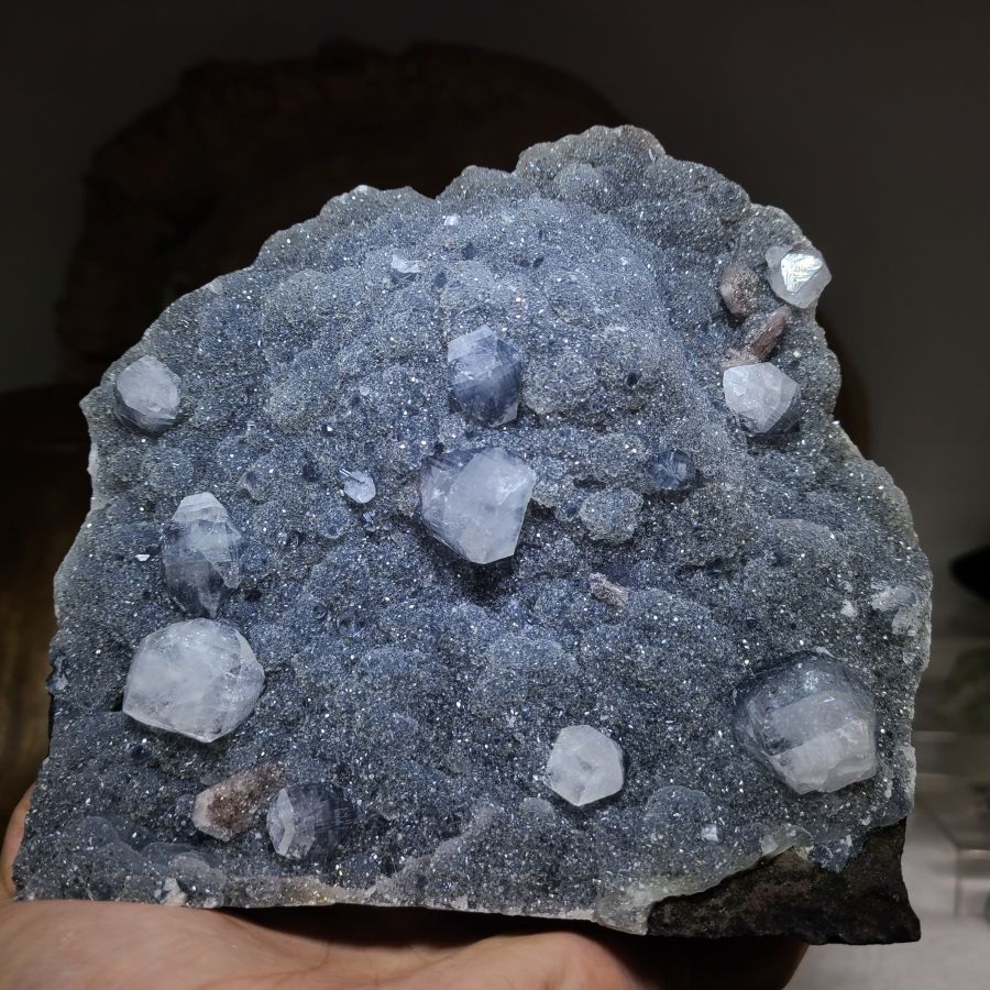 夢の洞窟発見