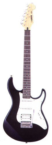 EG112 Review: I play the guitar for about 30 years now, but I
