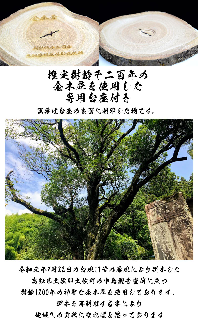 最高級・超透明】天然レインボー水晶丸玉【専用切株台座付き】虹入り