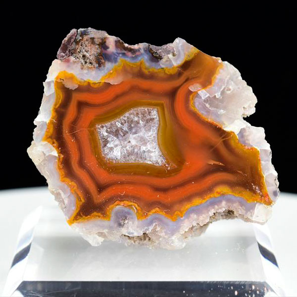 龍亀（ロングイ）天然水晶【約224.5g】◇透明・美品・正財運を高める