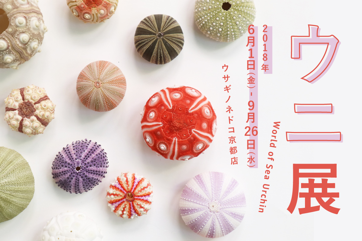 ウニ展」開催のお知らせ – 株式会社ウサギノネドコ