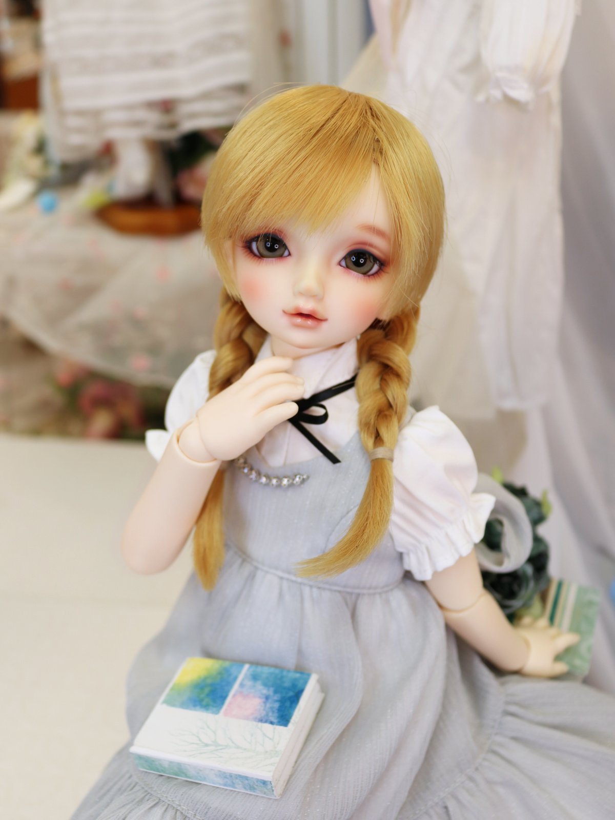 スーパードルフィー® ミディ（SDM）」ってどんな子たち？気になる方へ