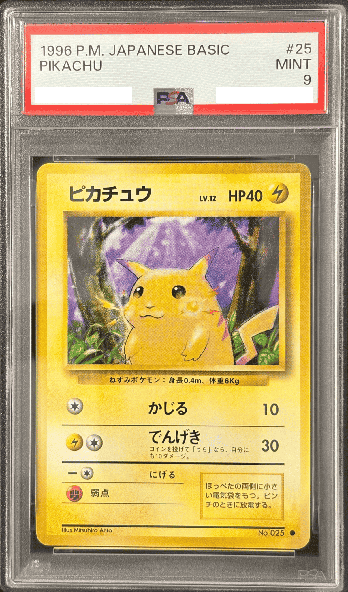 PSA9】ピカチュウ［BASIC-LV.12］ - VALUABLE CARD TOKYO
