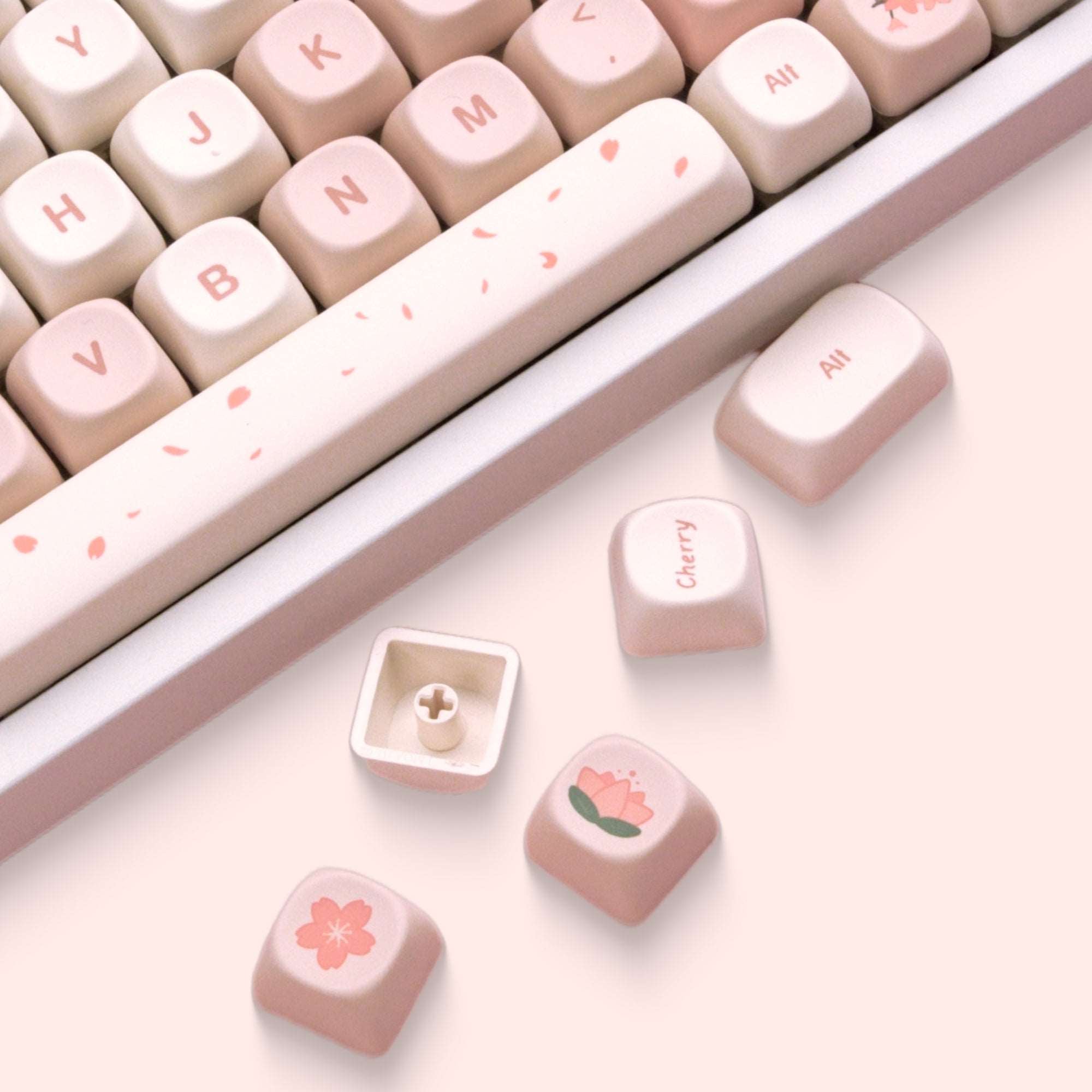 Sakura MOA Profile Dye-Sub PBT Keycap – XVX Keyboard Channel