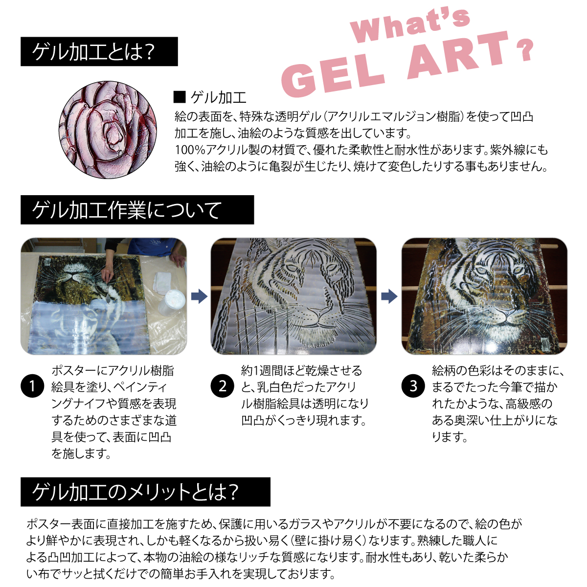 カシニョール「カバリエ(Lサイズ)」 | ユーパワー オンラインショップ