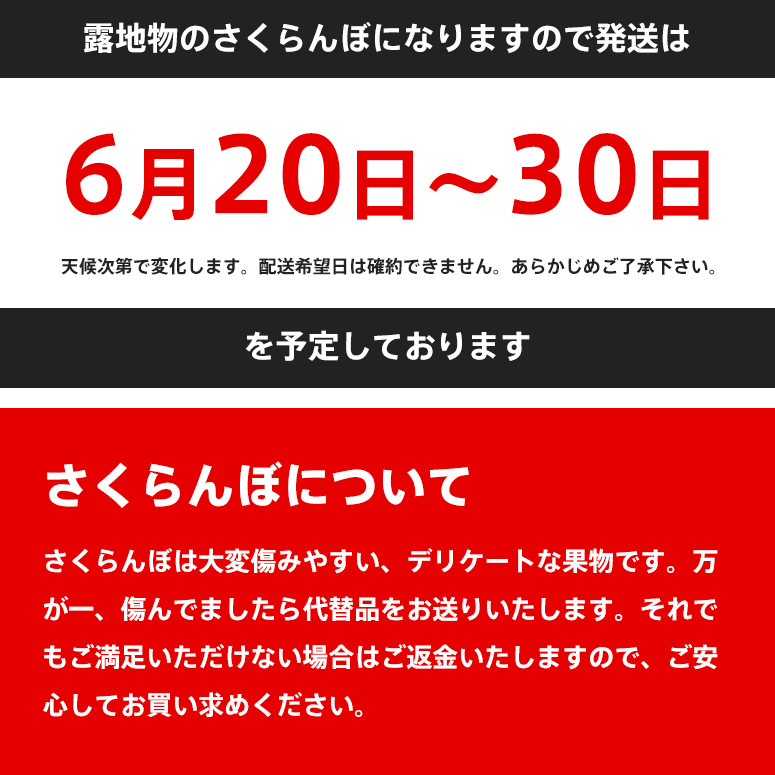 さくらんぼの珍果林 佐藤錦の激安通販