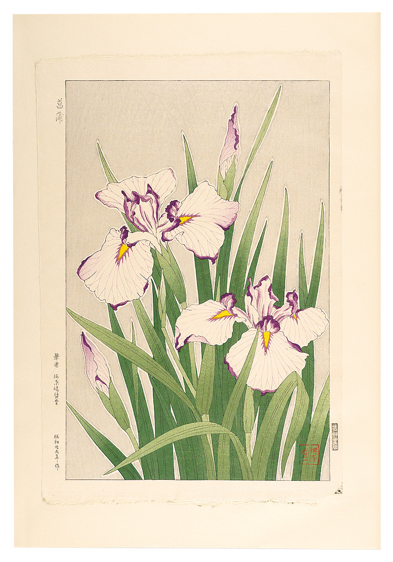 河原崎奨堂「日本の花こよみ ハナショウブ（花菖蒲）」 | 山田書店美術