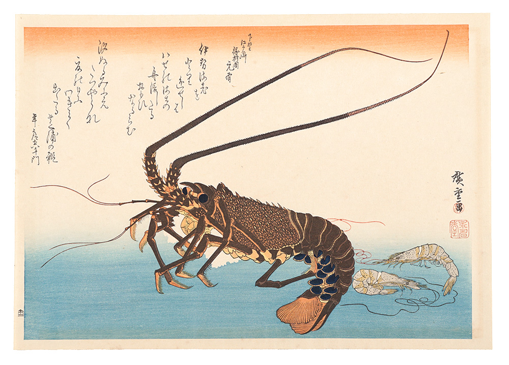 広重初代「魚づくし 伊勢海老・芝蝦【復刻版】」 | 山田書店美術部