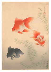 大野麥風「大日本魚類画集 金魚」 | 山田書店美術部オンラインストア