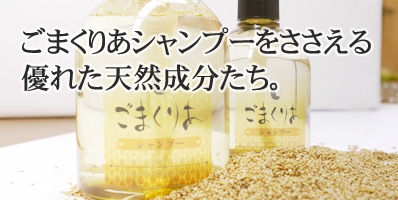 ごまくりあシャンプー 500ml | 「ゆい」 天然素材で素肌力を高める