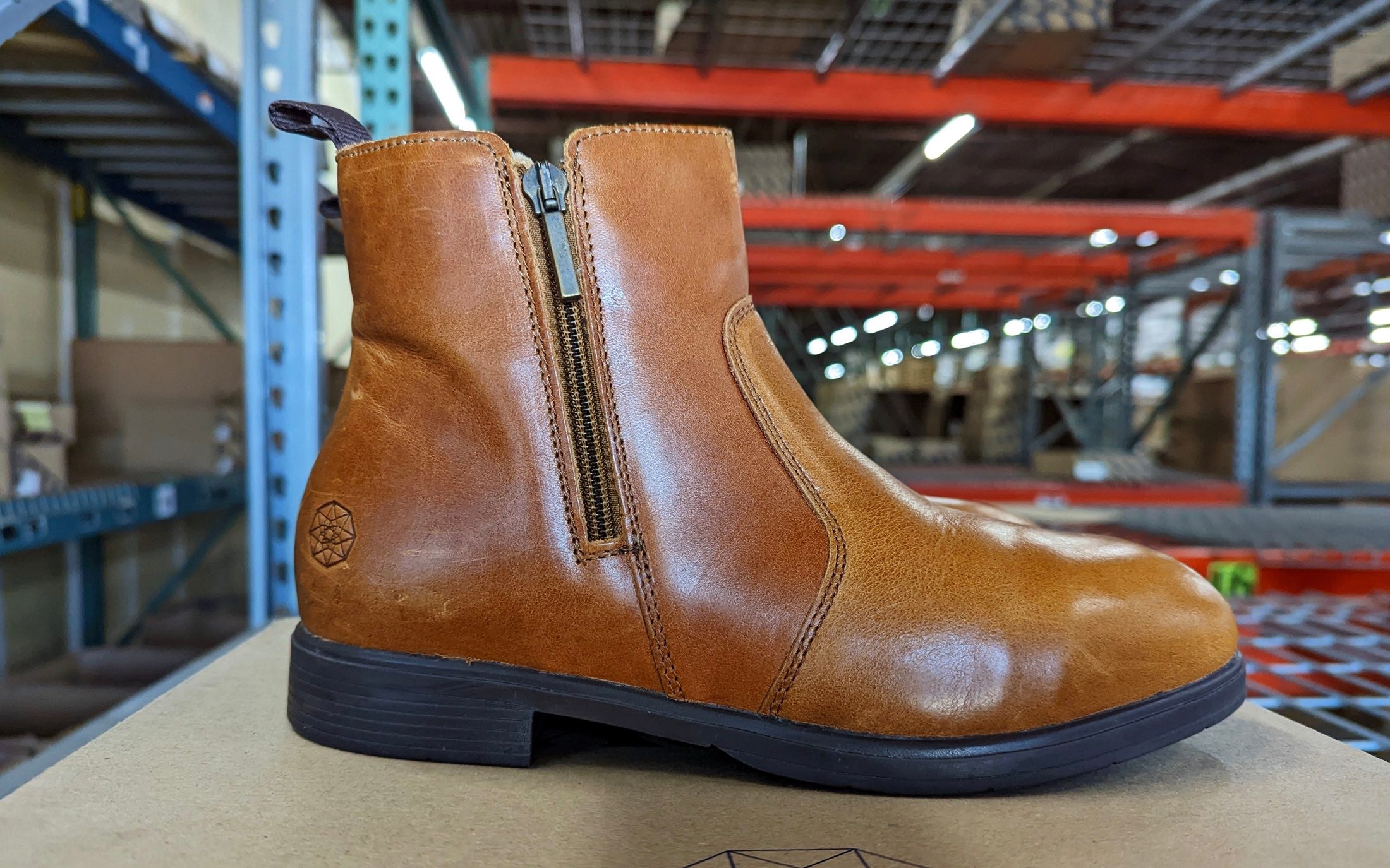 Omega-EH-Rated-Steel-Toe-