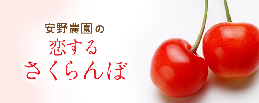 さくらんぼ | ㊇安野農園