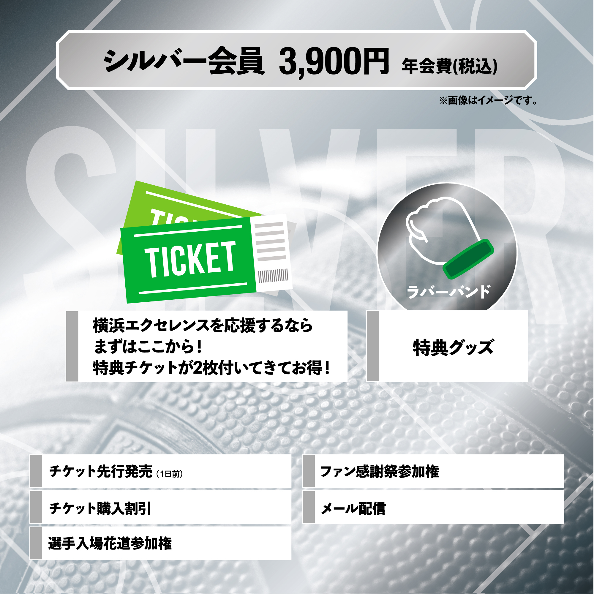 2023-24シーズン 「エクセレンスクラブ」概要決定！(※9/27更新) | 横浜