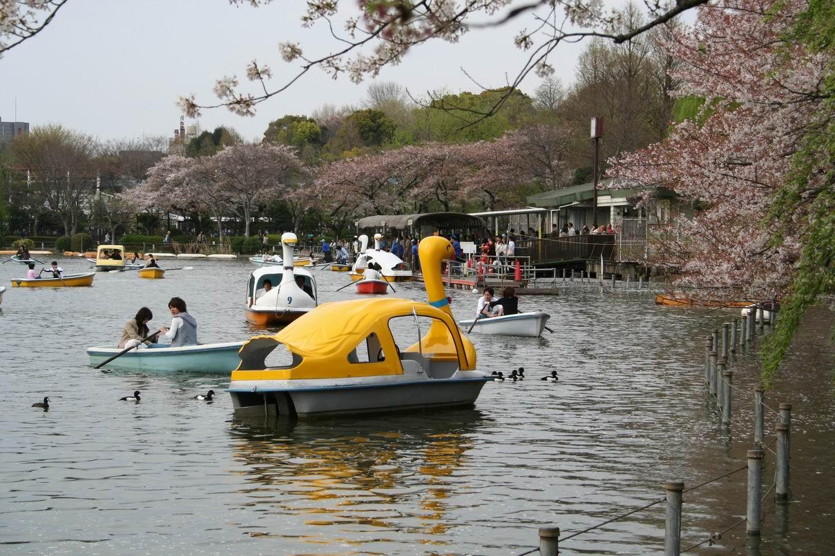 Ueno | Tokyo travel guide - youinJapan.net