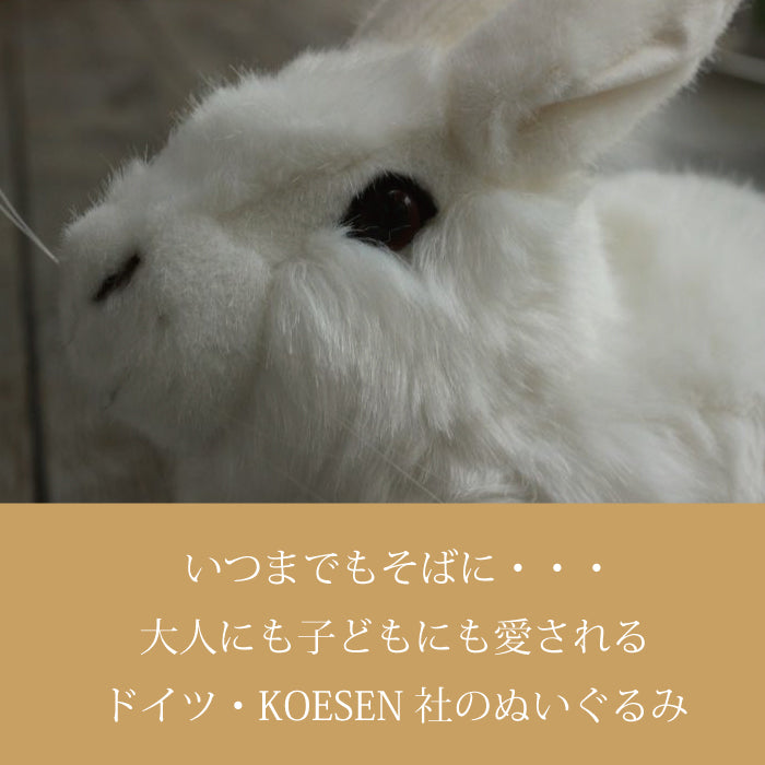 しろいうさぎ ケーセン社（ドイツ） – 木のおもちゃ専門店ゆうぼ