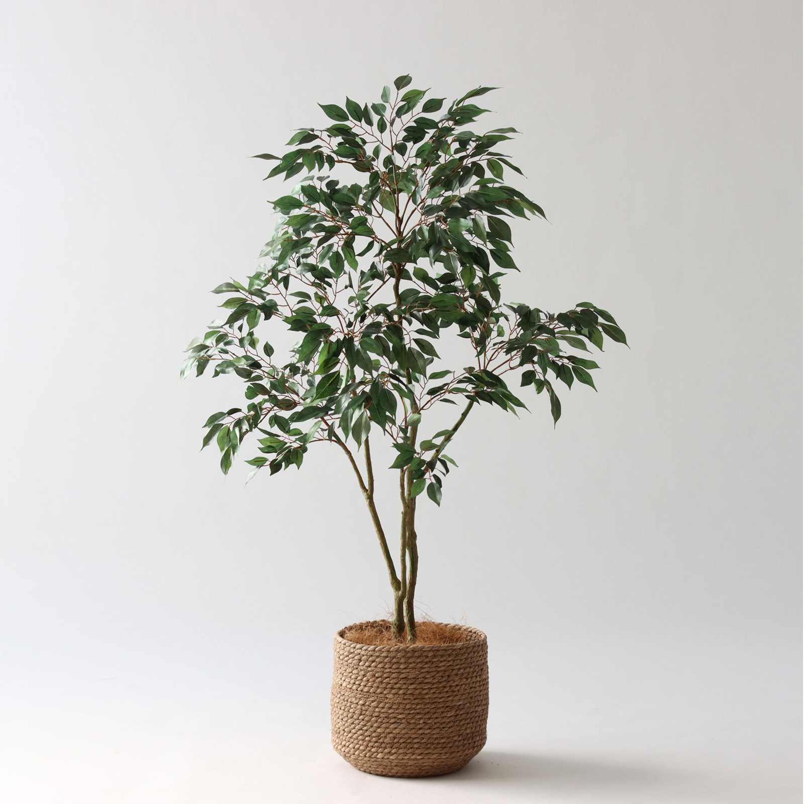 コーヒーの木 | プレミアム光触媒フェイクグリーン 造花ドットコム
