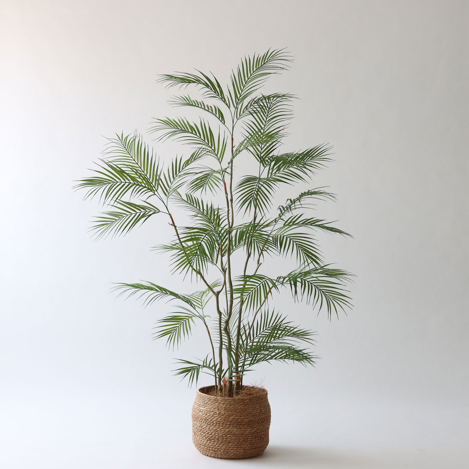 高さ150-180cm | プレミアム光触媒フェイクグリーン 造花ドットコム
