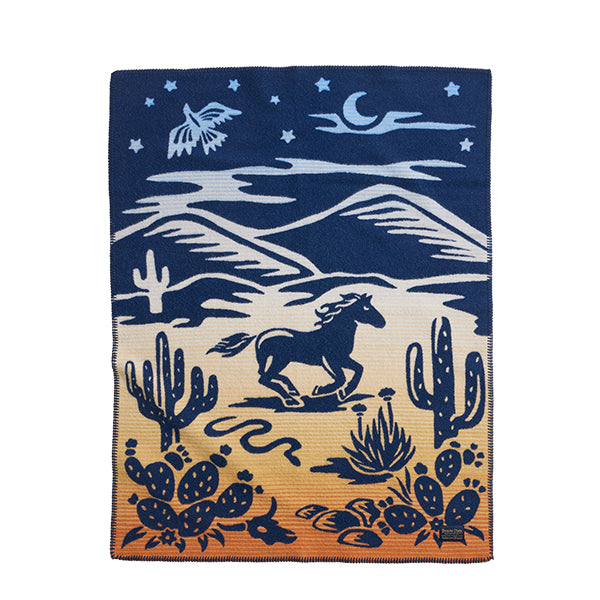 PENDLETON／ペンドルトン ムチャチョブランケット 【A&F