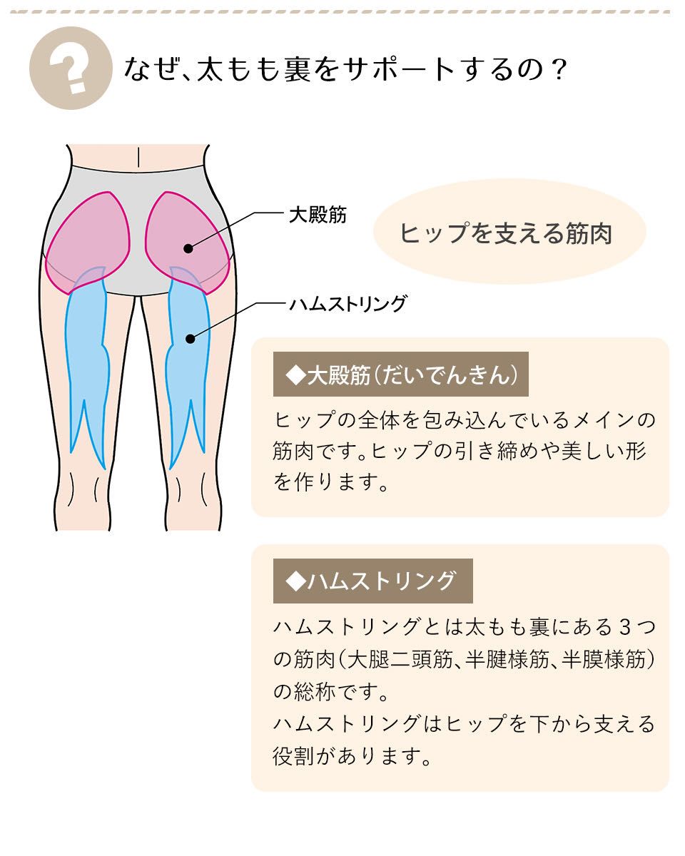 レッグメイキング サイサポートシリーズシンメトリー発売です。 | 大橋