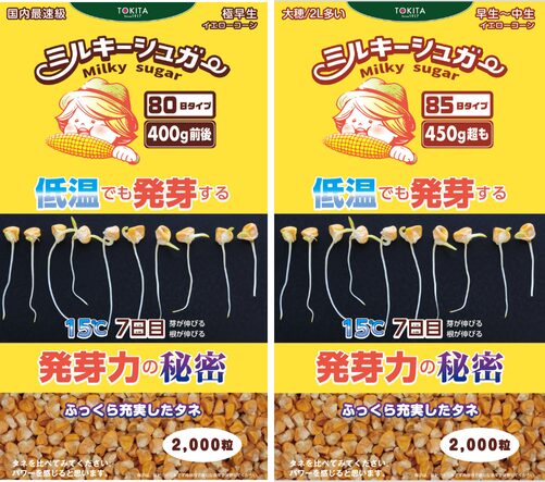 低温でも発芽する「ミルキーシュガー」トウモロコシの新品種が登場