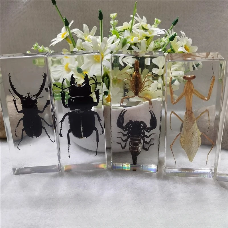樹脂製の虫,クモ,タランチュラ,ムカデ,マンティ,サソリ,デスク