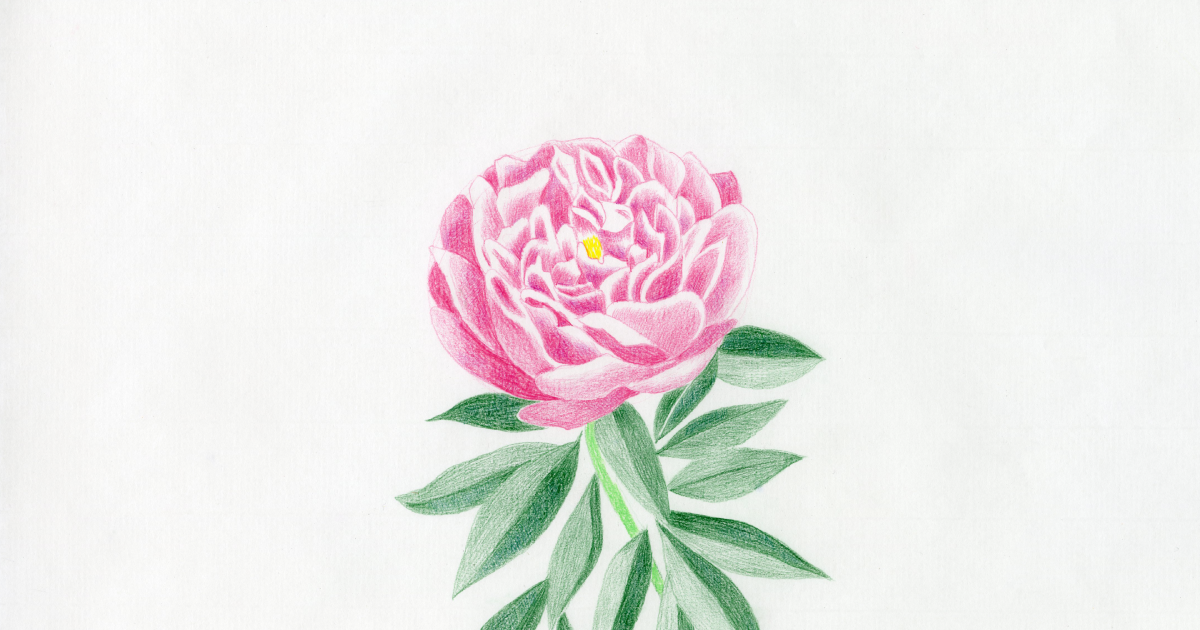 hare-to-ke_001_003.png