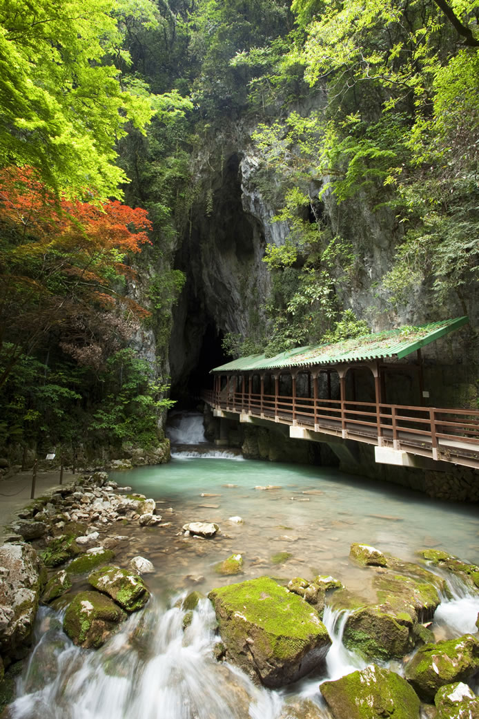 特別天然記念物 秋芳洞 | 秋吉台 公式ホームページ