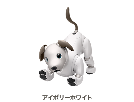ビジネス（法人のお客様向けストア） | aibo