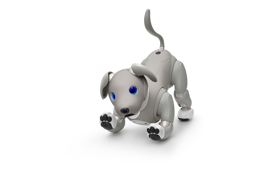 aibo 黒ごま エディション | aibo