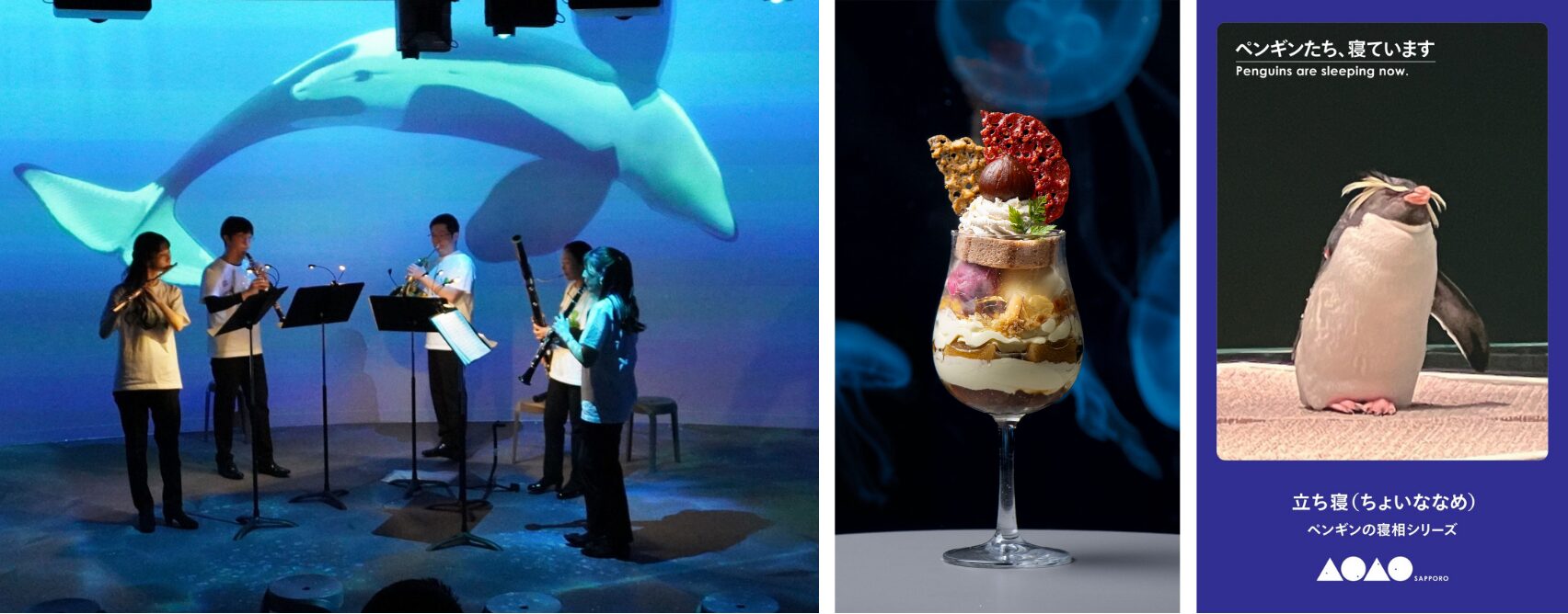 秋の夜長に、まちなかの水族館で「幸せな夜更かし」を 夜の水族館で