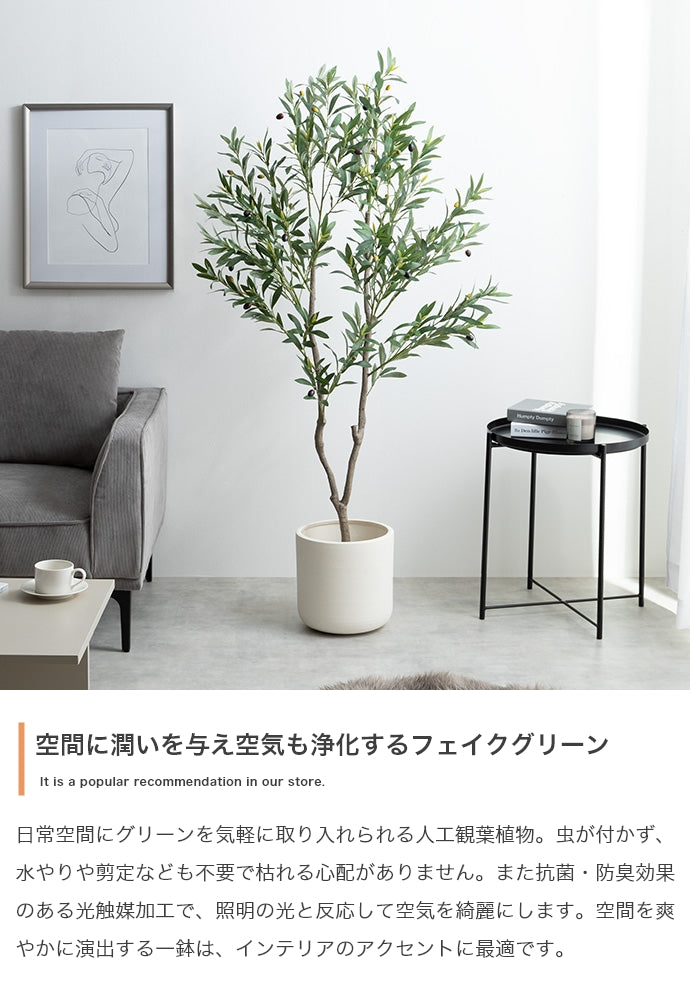 光触媒人工観葉植物 オリーブ 高さ150cm | 【公式】allecore(アレコレ