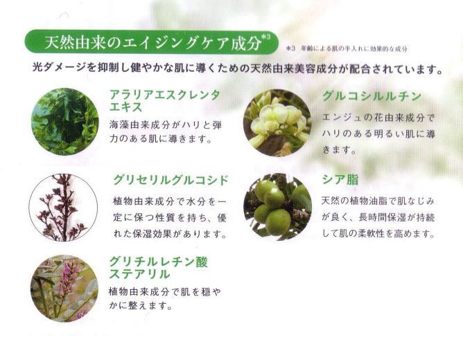 MD化粧品 レセプトⅡカラーベースUVT(日焼け止め下地)のご案内｜代理店