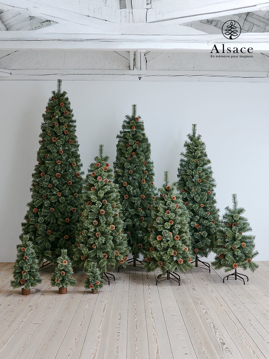 アルザスツリー 樅 – alsace_tree