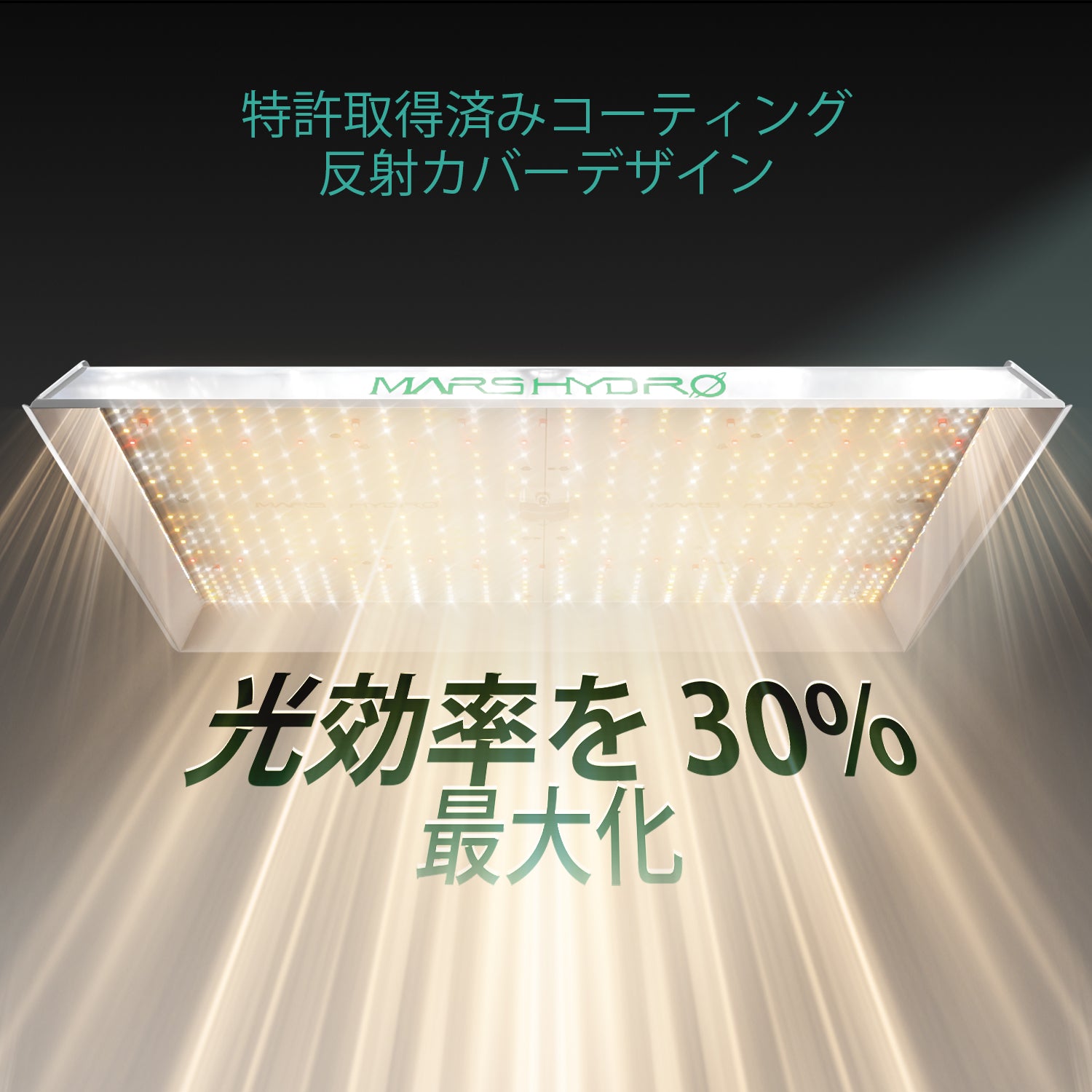 2024モデル MARS HYDRO TSW2000 （範囲120×120cm / 300w） – ALUS HOME