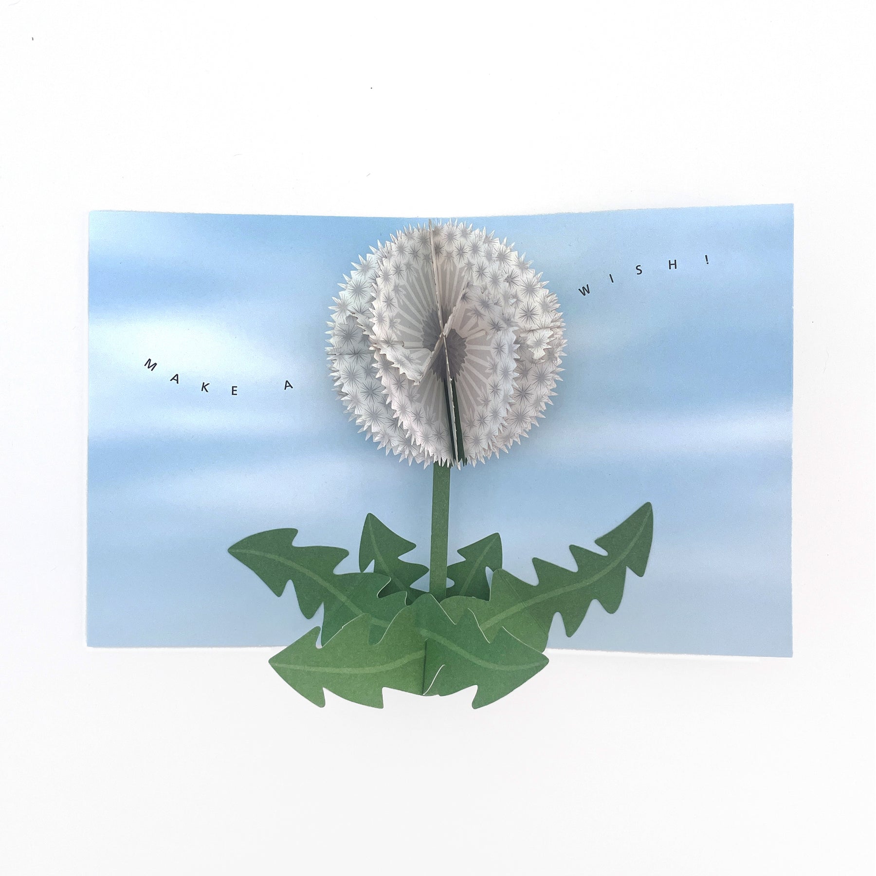 IC Design Dandelion Wishes | AMEICO - Official US Distributor