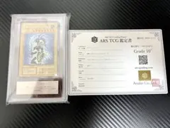 ARS鑑定】カオス・ソルジャー のグレーディングを調査！一番多く鑑定
