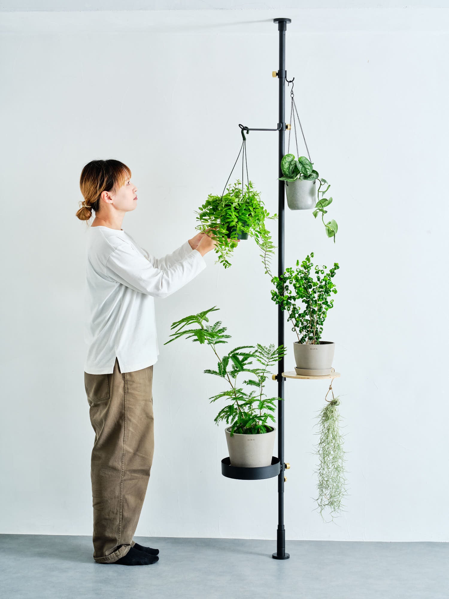 Hook A DRAW A LINE | 観葉植物・お花の通販 AND PLANTS (アンドプランツ)