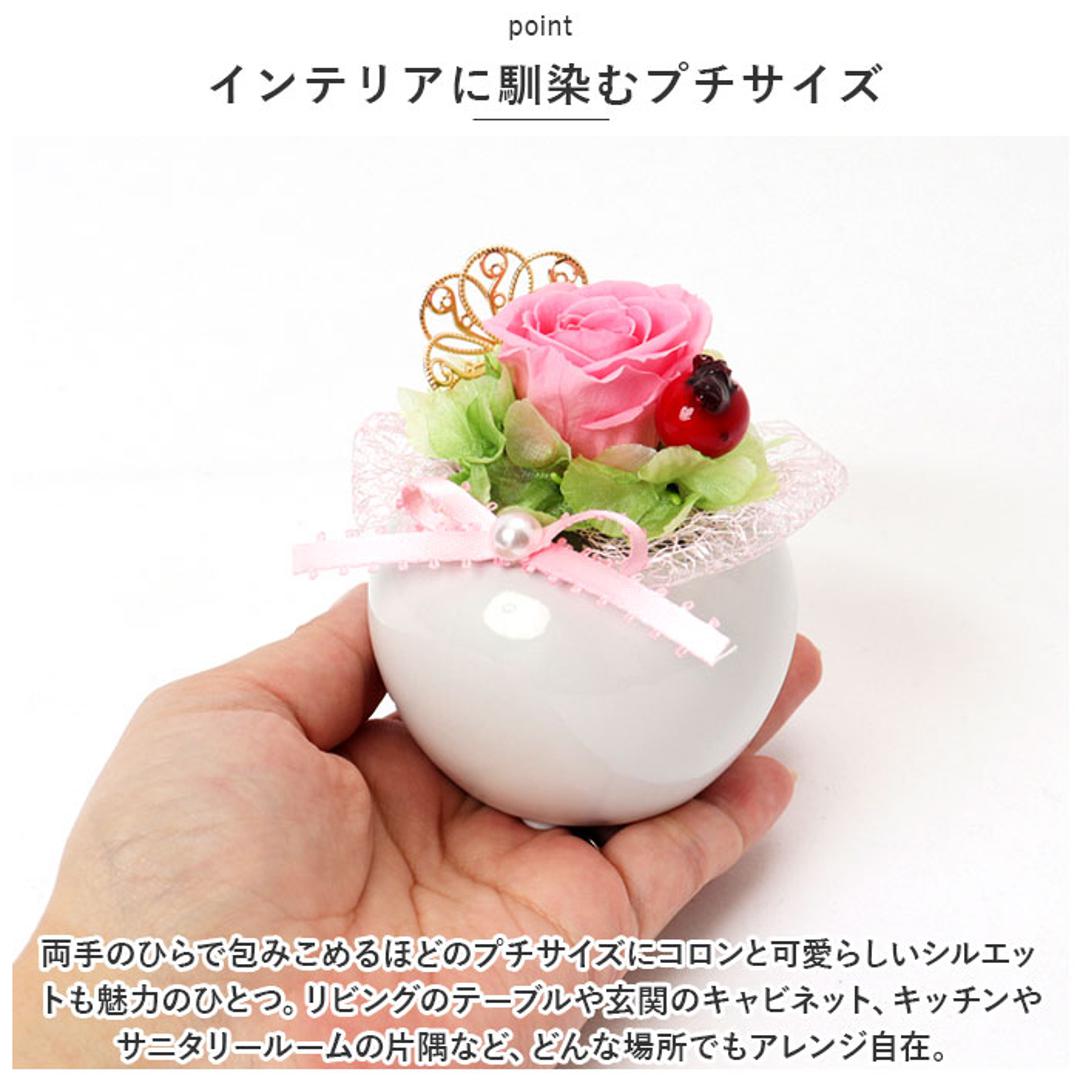 プリザーブドフラワー ミニサイズ 通販 プティラウンドポット アーティ