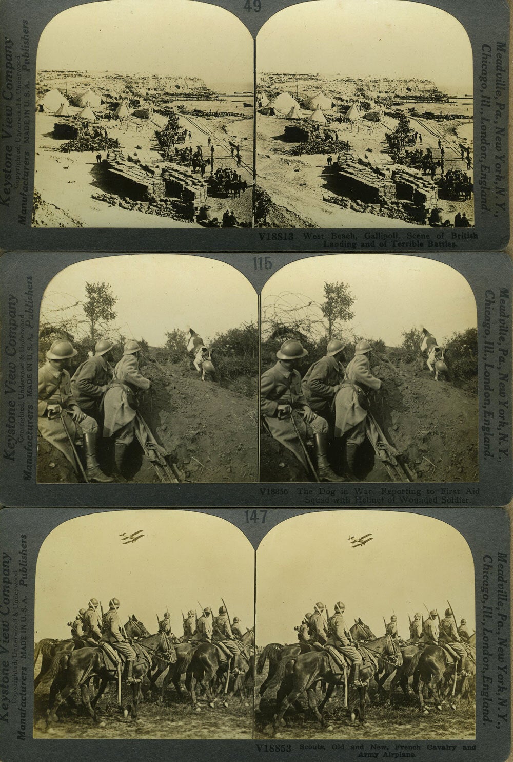 World War Through the Stereoscope. First World War stereo views