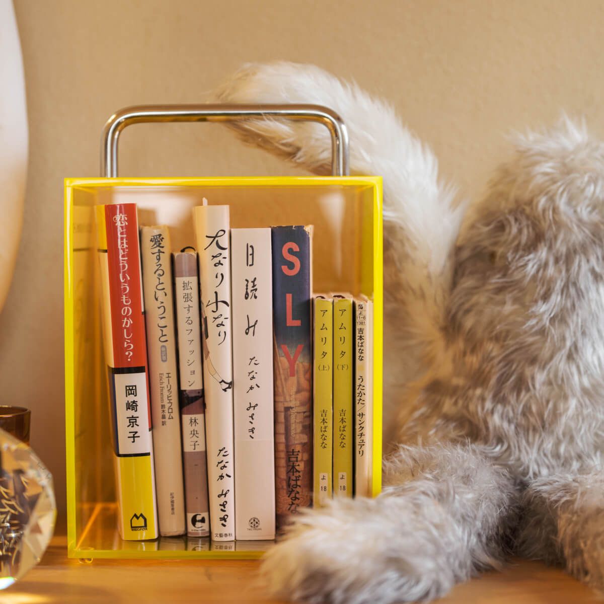 Anywhere Book Case
